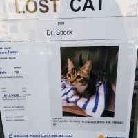Presidio Way Pet Hospital ico
