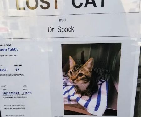 Presidio Way Pet Hospital