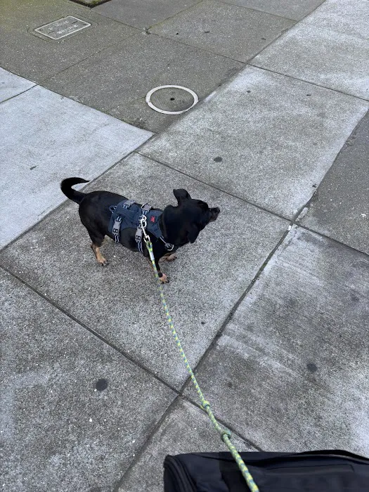 Presidio Way Pet Hospital Picture 9