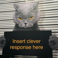 East Riverside Veterinary Hospital ico