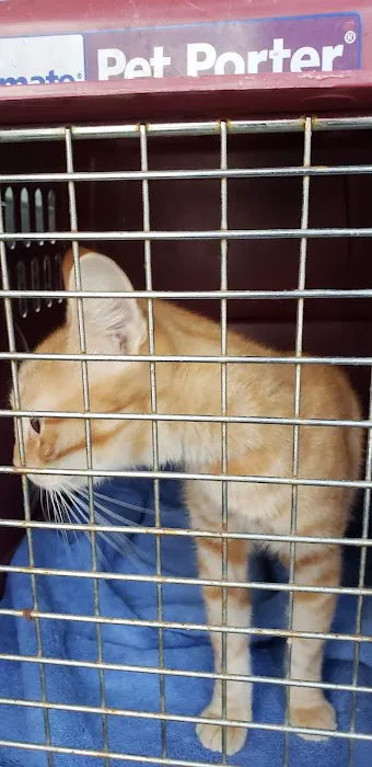 Magazine Street Animal Clinic Picture 6