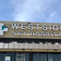 Westside Veterinary Hospital ico