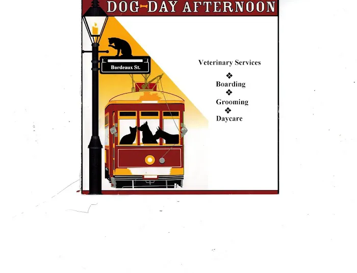 Dog Day Afternoon Picture 3