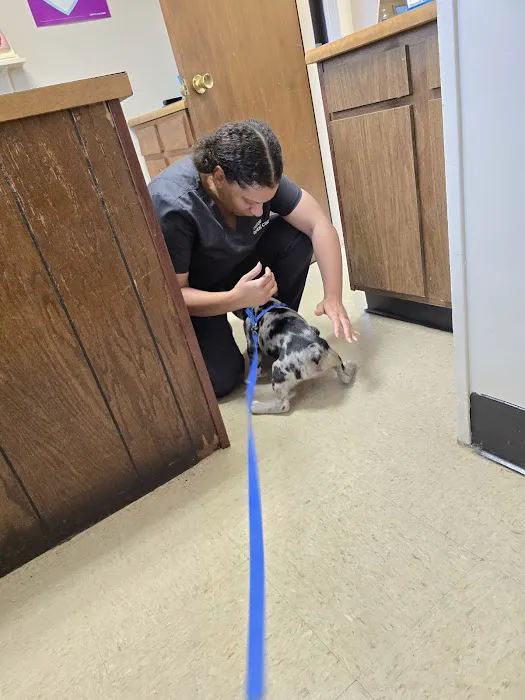 Vetco Total Care Animal Hospital Picture 8