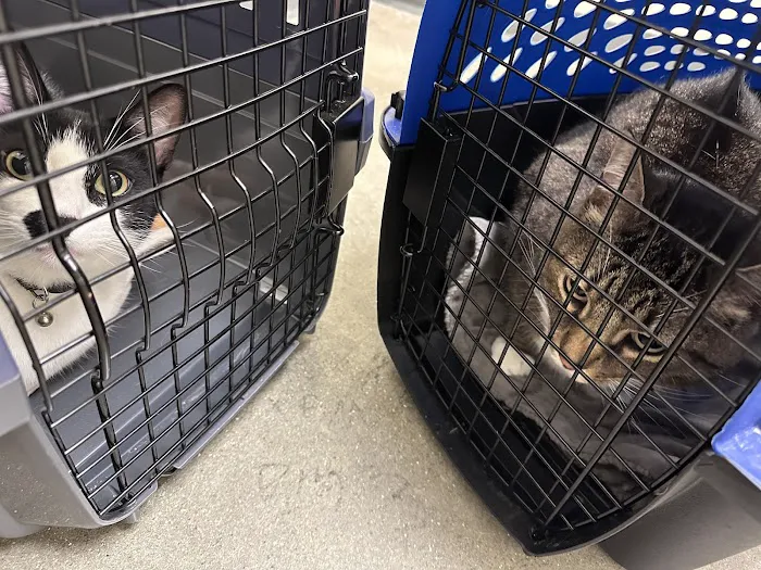 Vetco Total Care Animal Hospital Picture 6
