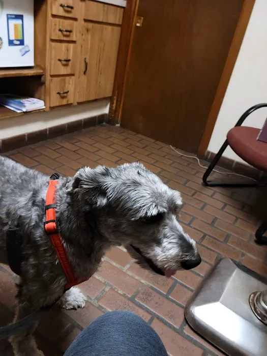 Elysian Fields Animal Clinic Picture 1