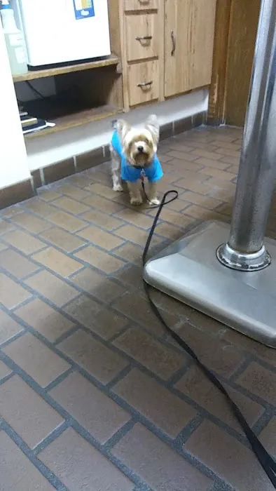 Elysian Fields Animal Clinic Picture 9