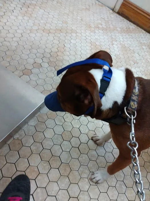Carrollton Veterinary Hospital Picture 5