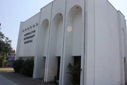 Carrollton Veterinary Hospital Picture 6