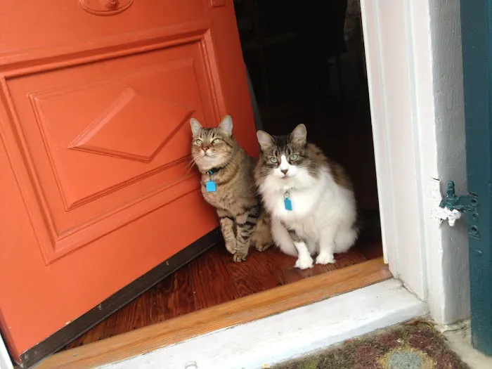 Carrollton Veterinary Hospital Picture 10