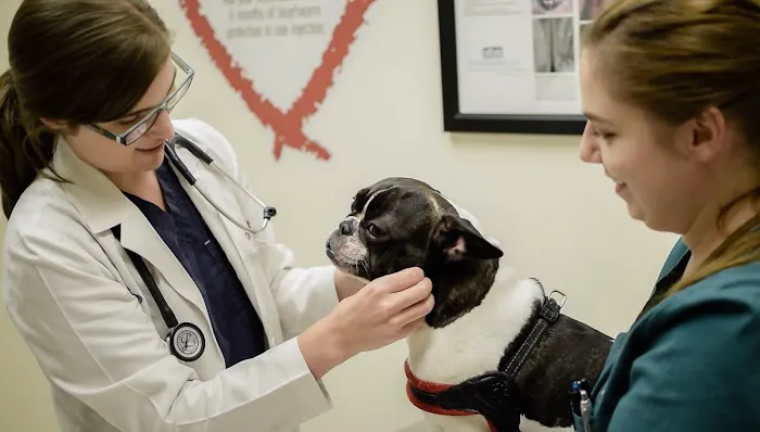 Lakeview Veterinary Hospital Picture 1