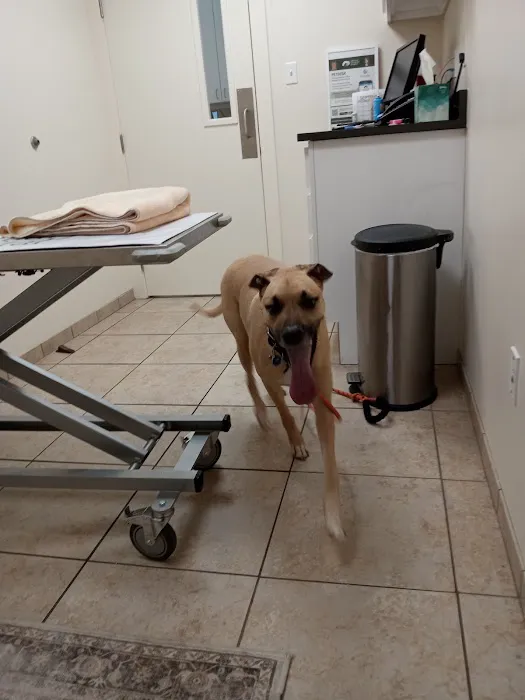 Lakeview Veterinary Hospital Picture 6