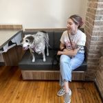 Gulf South Veterinary Dental Specialties