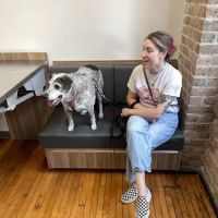 Gulf South Veterinary Dental Specialties ico