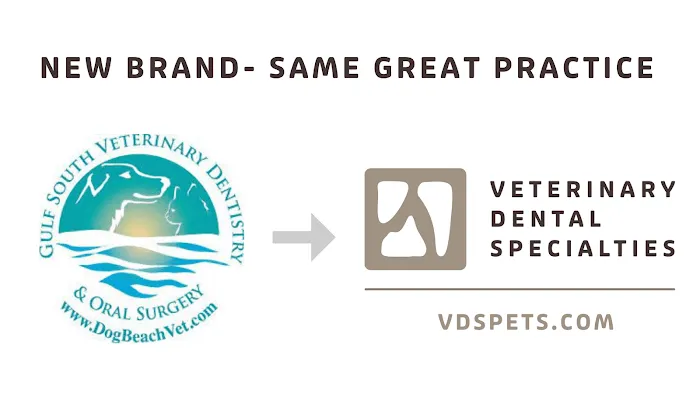 Gulf South Veterinary Dental Specialties Picture 6