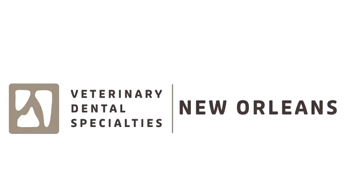 Gulf South Veterinary Dental Specialties Picture 5