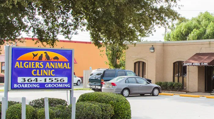 VCA Algiers Animal Hospital Picture 3