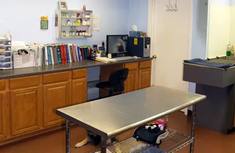 Aurora Companion Animal Hospital Picture 1