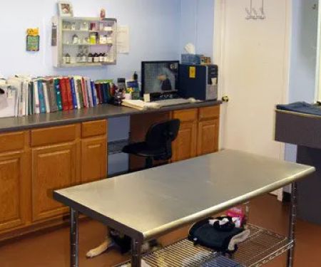 Aurora Companion Animal Hospital