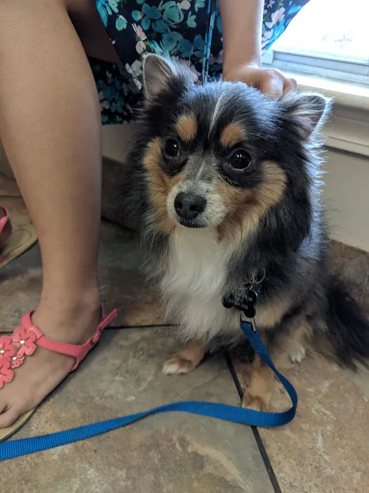 Aurora Companion Animal Hospital Picture 7