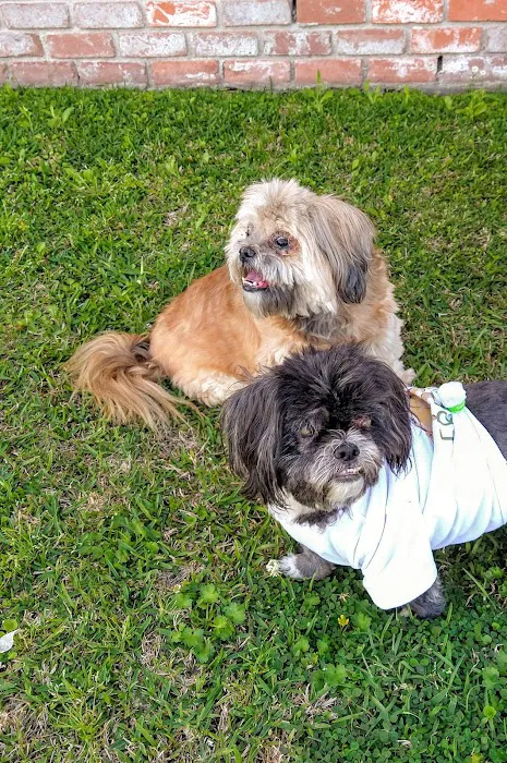 Aurora Companion Animal Hospital Picture 8
