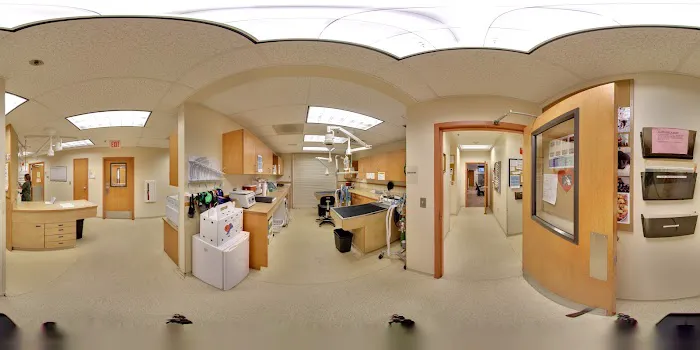 Metairie Small Animal Hospital Picture 1