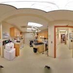 Metairie Small Animal Hospital