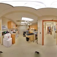 Metairie Small Animal Hospital ico