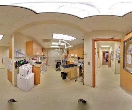 Metairie Small Animal Hospital