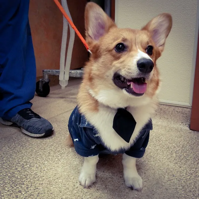 Metairie Small Animal Hospital Picture 8