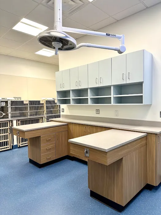 Lovet Pet Health Care - Fulton Market Picture 3