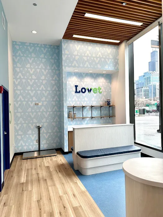 Lovet Pet Health Care - Fulton Market Picture 6
