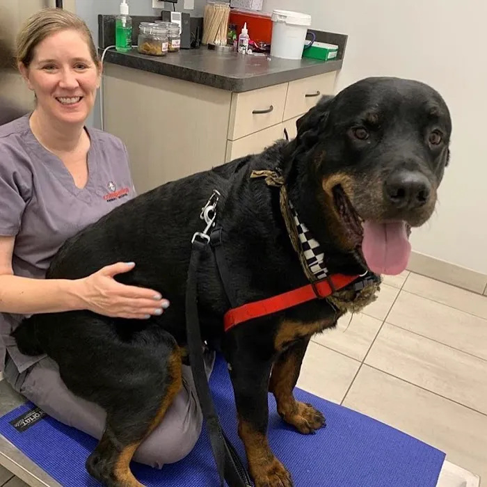 Companion Animal Hospital River North Picture 2