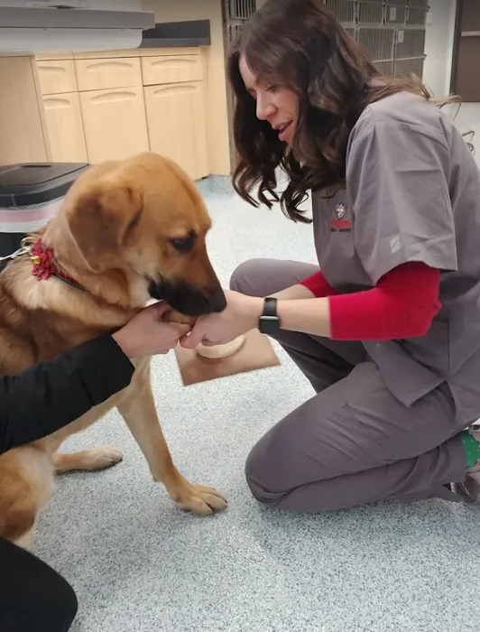 Companion Animal Hospital River North Picture 9