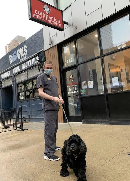 Companion Animal Hospital River North Picture 10