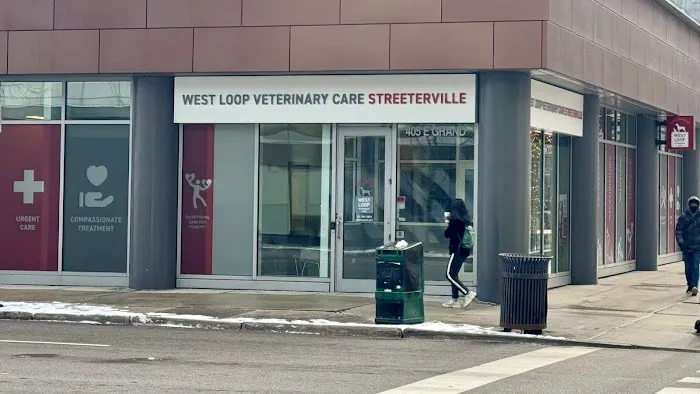 West Loop Veterinary Care Streeterville Picture 4