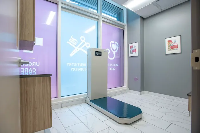 West Loop Veterinary Care Streeterville Picture 6