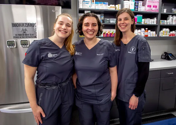 West Loop Veterinary Care Streeterville Picture 9