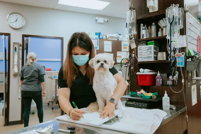 Metropolitan Veterinary Center Picture 5