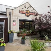South Loop Animal Hospital ico