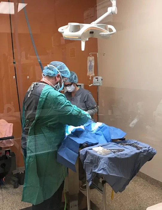 South Loop Animal Hospital Picture 2