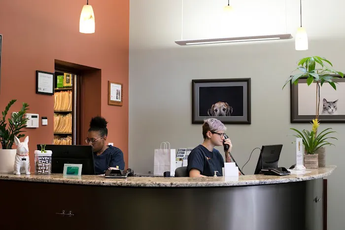 South Loop Animal Hospital Picture 3