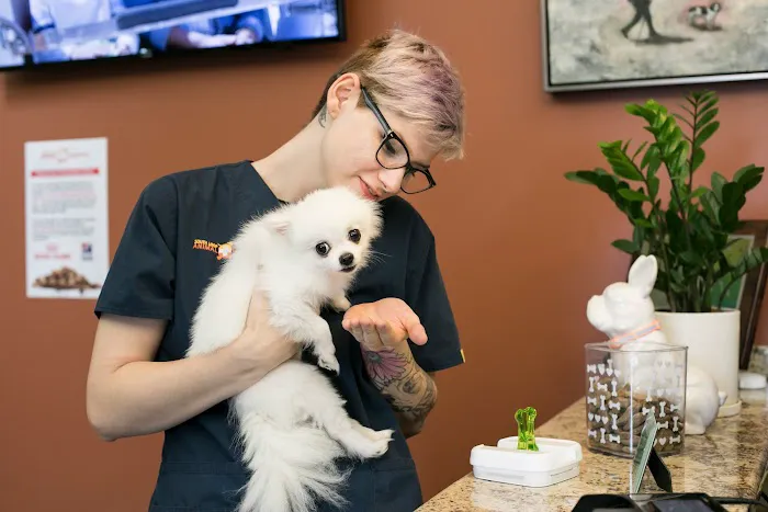 South Loop Animal Hospital Picture 6