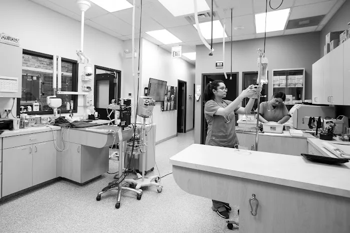 South Loop Animal Hospital Picture 5