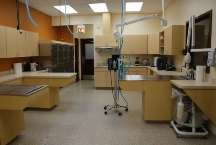 South Loop Animal Hospital Picture 10