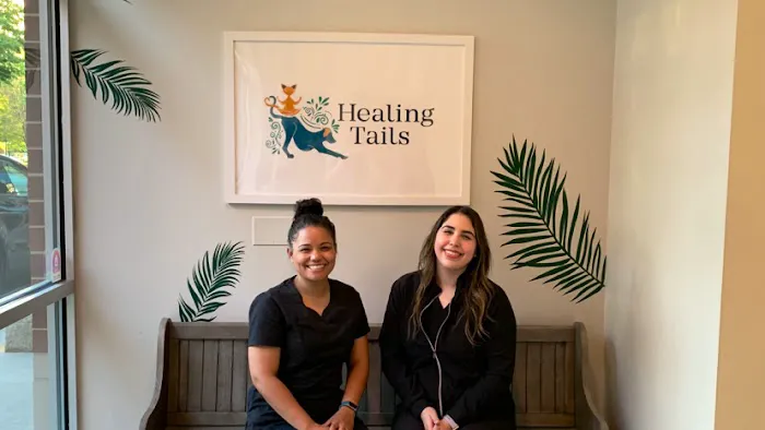 Healing Tails Chicago Pet Rehabilitation and Acupuncture Picture 1