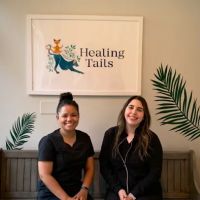 Healing Tails Chicago Pet Rehabilitation and Acupuncture ico
