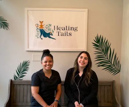 Healing Tails Chicago Pet Rehabilitation and Acupuncture