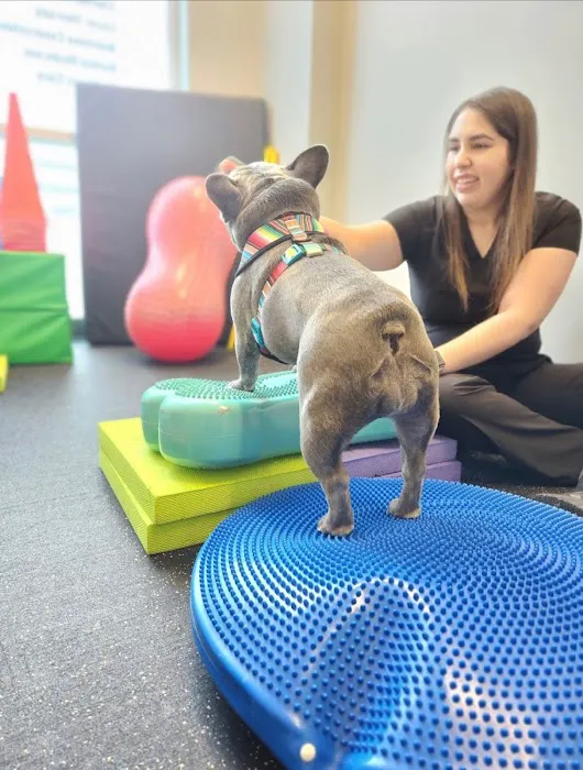 Healing Tails Chicago Pet Rehabilitation and Acupuncture Picture 2