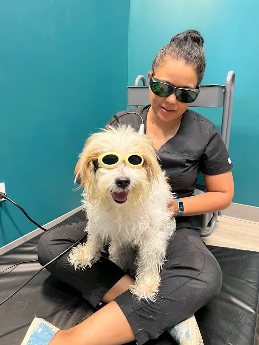 Healing Tails Chicago Pet Rehabilitation and Acupuncture Picture 4